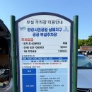 남양주 한강공원 삼패지구 드라이브 수레국화 텐트