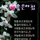 영자네 이미지