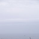 성호 민박 Daum카페