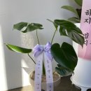 지에스(GS)25 울산돋질로 이미지