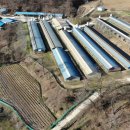 산마을 양계장 이미지