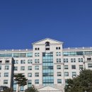 화과자 클래스(고급) | 한양여대 K-디저트 전문가 과정 고나시 화과자 클래스 출강 후기｜공방창업