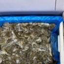 수산물종합센터 | 군산 먹거리 여행 필수코스 군산수산물센터 방문후기 망둥어수산