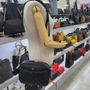 마리 이미지