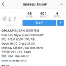 오파프부산 이미지