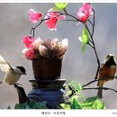 아름다운연출 이미지