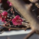 바우길 16구간 이미지