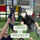 너에개 이미지