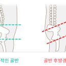 영동헬스클럽 이미지