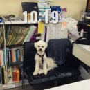 커브스 당산2클럽 이미지