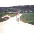 개울가 - 서산시 마애삼존불길 83 | 개울가