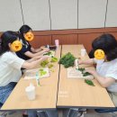 영동군_청소년수련관_체육관 이미지