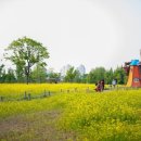 남부공원 이미지