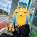 안성시송정보건진료소 | [경기둘레길 안성 39코스] 안성둘레길, 안성 가볼만한 곳, 현풍곽씨 충효각,용설호수, 용설저수지...