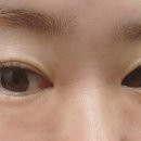 보니떼뷰티