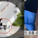 또 &#39;개물림&#39; 사고…신혼부부 보고 달려든 보더콜리 이미지