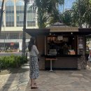 YOLO BEACH | 하와이여행 7박8일 일정 6일차 :) 하와이 거북이스노쿨링, 츠루동탄, 하와이 맛집 야드하우스, 딘...