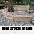 울타리 | 반려동물동반 캠핑 꿀템, 하웃 강아지 울타리/ 애견펜스 내돈내산 후기