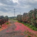 귀하도다 이미지