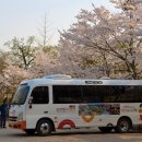 미소투어주 - 김해시 율하3로 77 | 미소투어주