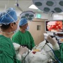 첨단 전남산부인과 이미지