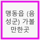 맹동낚시터 | 맹동읍 (음성군) 가볼만한곳 - 자연과 문화가 어우러진 여행지