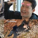 어디든 헤럴드경제
