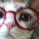 지에스25휘경제이스카이 | 무채색 겨울 코디 정보