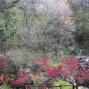 장천동 행정복지센터 이미지