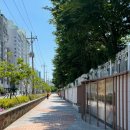 하단동1174 이미지