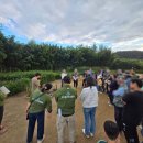 정원사 | 2025 울산 태화강국가정원 가을축제 새내기정원사 경진대회 참여후기