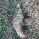 대소원면게이트볼장 이미지