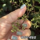 광안리보이지301호 | 광안리 네일샵 네일라뉘 손톱 퍼스널 컬러 찾기 성공