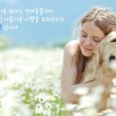엔젤펫 이미지