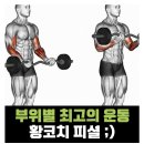 스포니스 군자점 PT&헬스 이미지