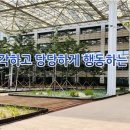 중동고등학교 이미지