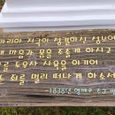 서울성모병원 정문 앞 횡단보도 | 천주교 서울 순례길 3코스(노고산성지에서 왜고개성지까지)