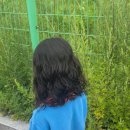 나의헤어룸 | 평택고덕미용실 소르아헤어룸 자연스러운 여자아이펌 솔직후기