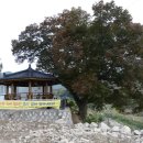 수헌중기