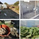 영진2농장 이미지