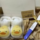 버스정류소_현대산부인과 | 임신초기, 임신중기, 임신후기 총정리 ㅣ 처음 엄마가 되기까지의 순간들