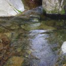 무궁화펜션 이미지