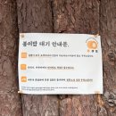 한끼뚝딱 마곡 이미지