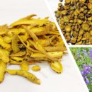 서울바른약국 이미지