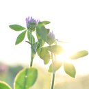 진홍목장 이미지