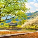 국도3호선 | 하동 여행 명소와 둘레길 걷기,무려 5만6000㎡ 규모 생태 호수,경남 제3호 지방정원 된 하동 명소
