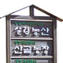 장용진농장 티스토리
