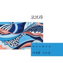 도서출판 정음 이미지