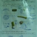 초록샘 - 부천시 원미구 | 초록샘
