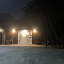 핀트리(Pin tree) 네이버블로그